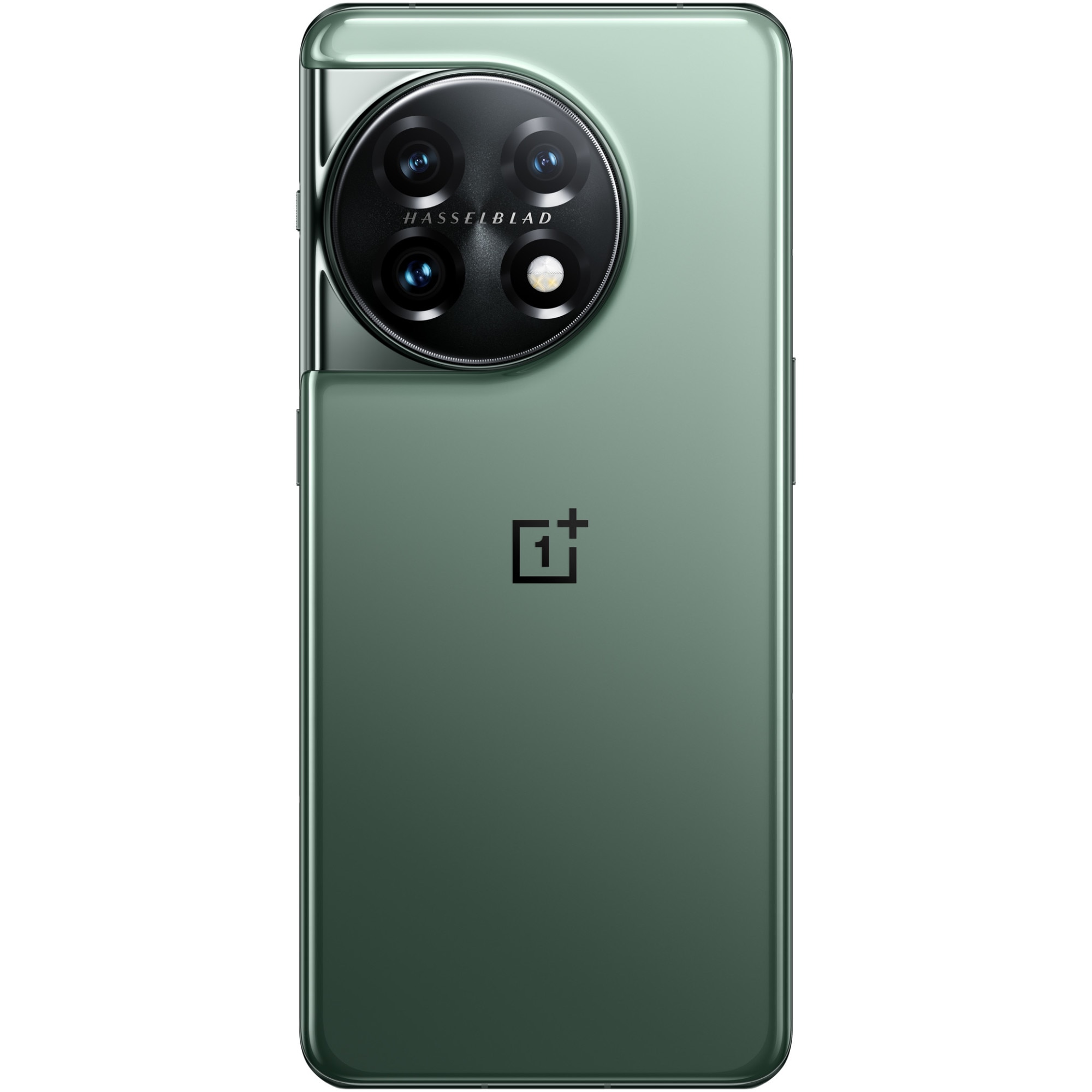スマートフォン本体 OnePlus 11 5G 16/256GB sim free Telefon mobil OnePlus 11, Dual SIM, 16GB RAM, 256GB, 5G, Eternal