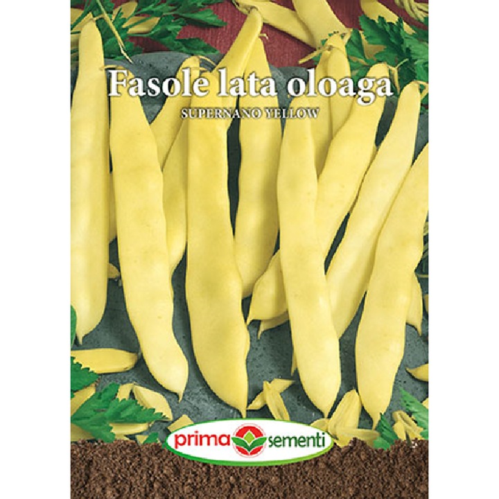 Seminte fasole lata oloaga Supernano Yellow 50g