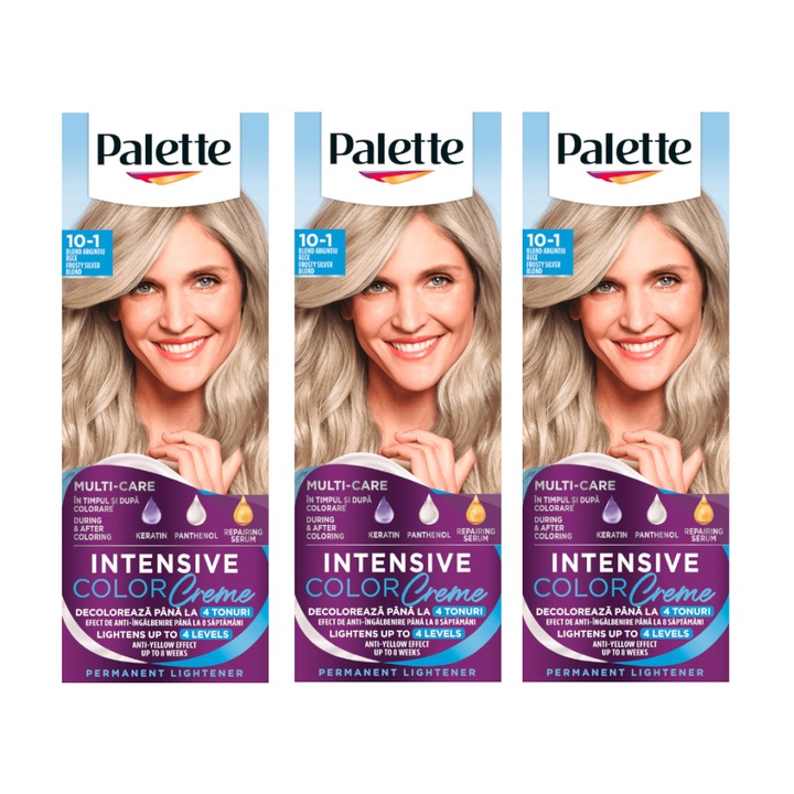 Set Vopsea de Par Permanenta Palette Intensive Color Creme C10 Blond Argintiu Artic, 3 Bucati x 110 ml