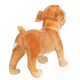Paco - plüss bulldog - 36cm