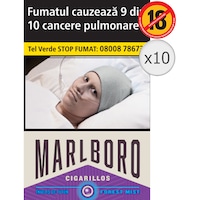 Cartus Marlboro Cigarillos Forest Mist