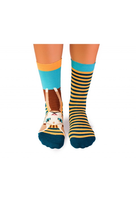 Sosete bumbac Funky Cat