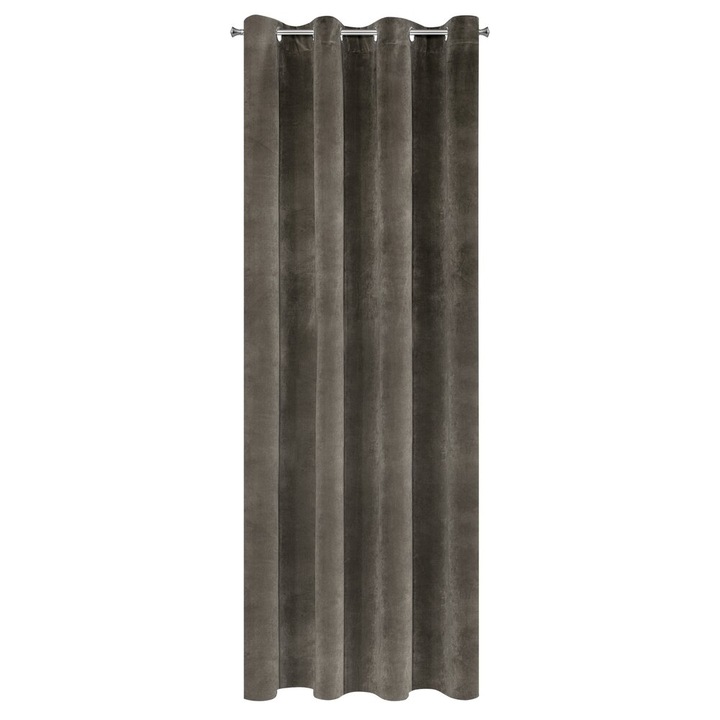Függöny gyűrűkkel Eurofirany RIA 140x250 szürke
