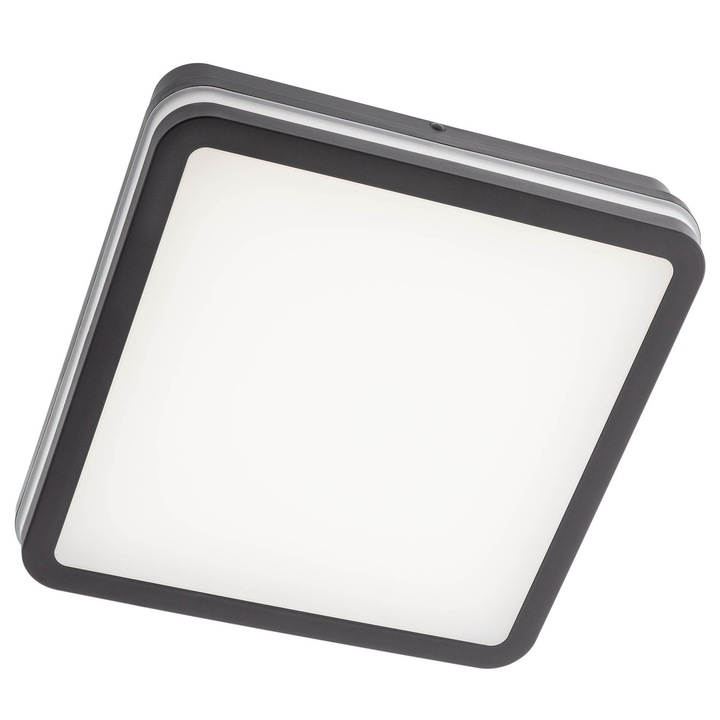 Plafoniera LED IS0980, 24W, Lumina calda / neutra / rece, IP54, Gri
