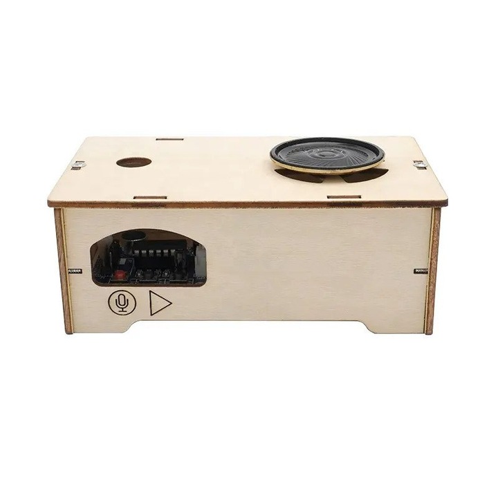 Jucarie Educationala Tetea, Kit lemn STEM, recorder audio