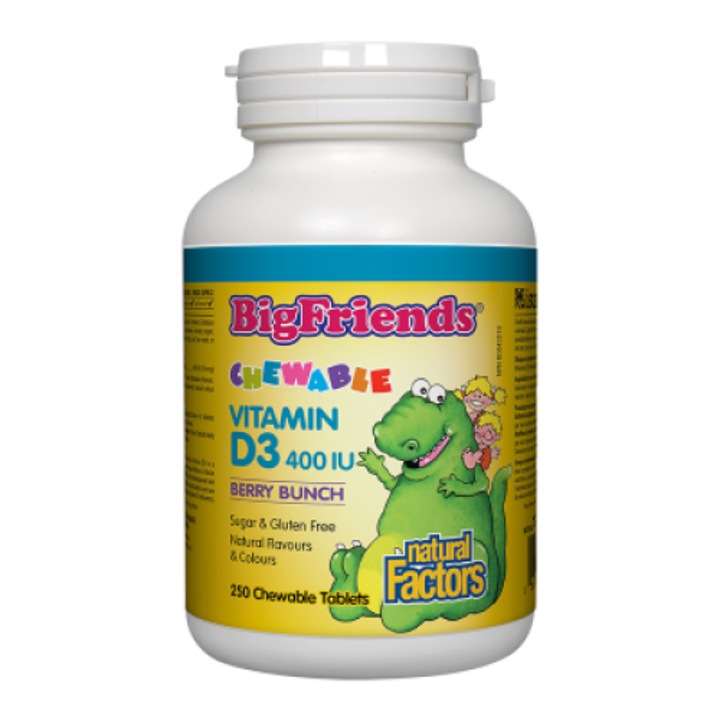 Supliment alimentar, Natural Factors, Vitamina D3, Pentru copii, Aroma de fructe de padure, 400 UI x 250 tablete masticabile