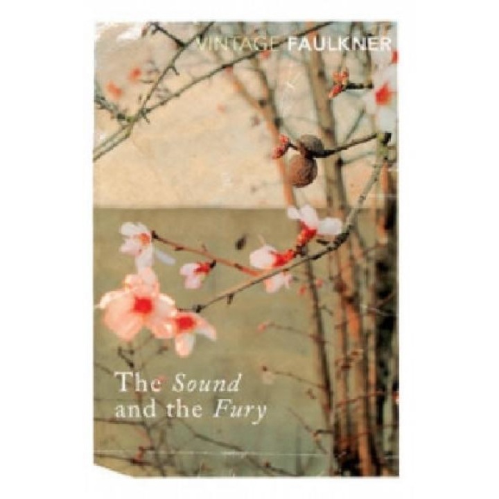 Sound and the Fury - William Faulkner