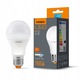 Bec, Videx, LED, E27, A60, 8W, Alb
