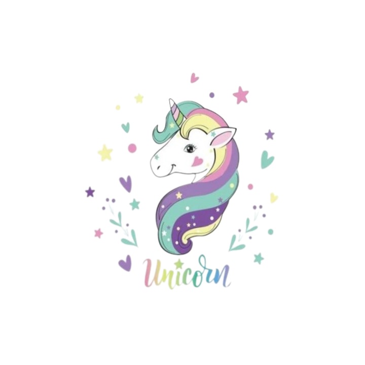 Sticker Copii Baby Unicorn Floral si Inimioare 1 Folie