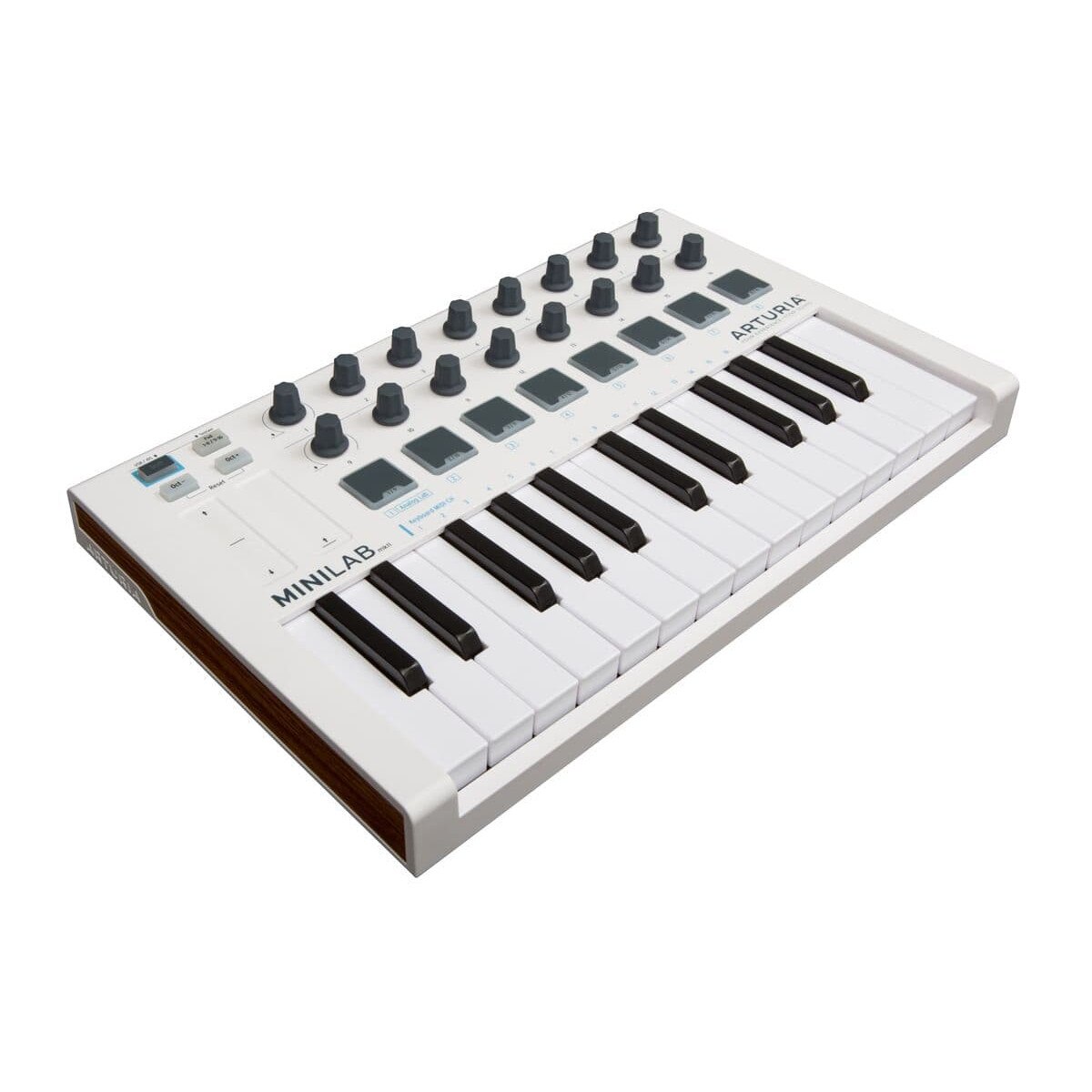 楽器 ARTURIA MINILAB MKII Amazon | Arturia MINILAB MKII ユニバーサル MIDI コントローラー