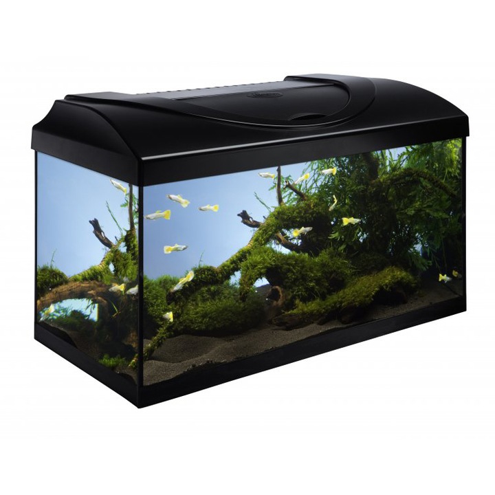 Аквариум Diversa 60, Черен