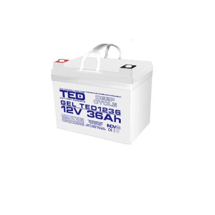 Akkumulátor AGM VRLA 12V 36A GEL Deep Cycle 195mm x 128mm xh 155mm M6 TED Battery Expert Holland TED003386 1