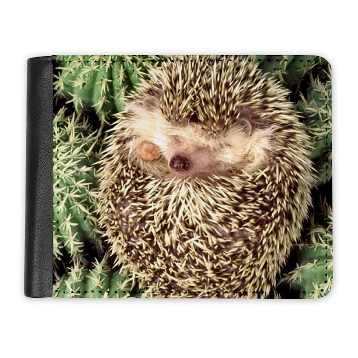 Portofel, Mobiltokguru, Arici 1