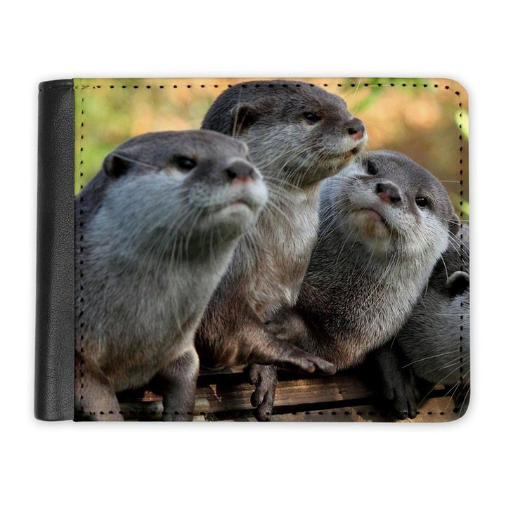 Portofel, trantor1 decorat, multicolor, 12cm