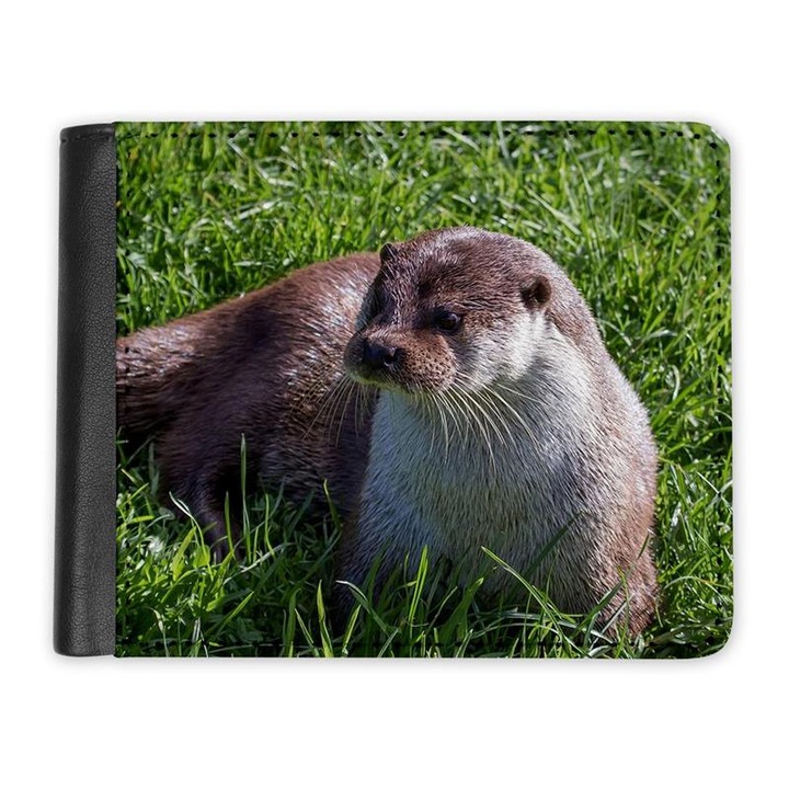 Portofel, Mobiltokguru, Vidra 103