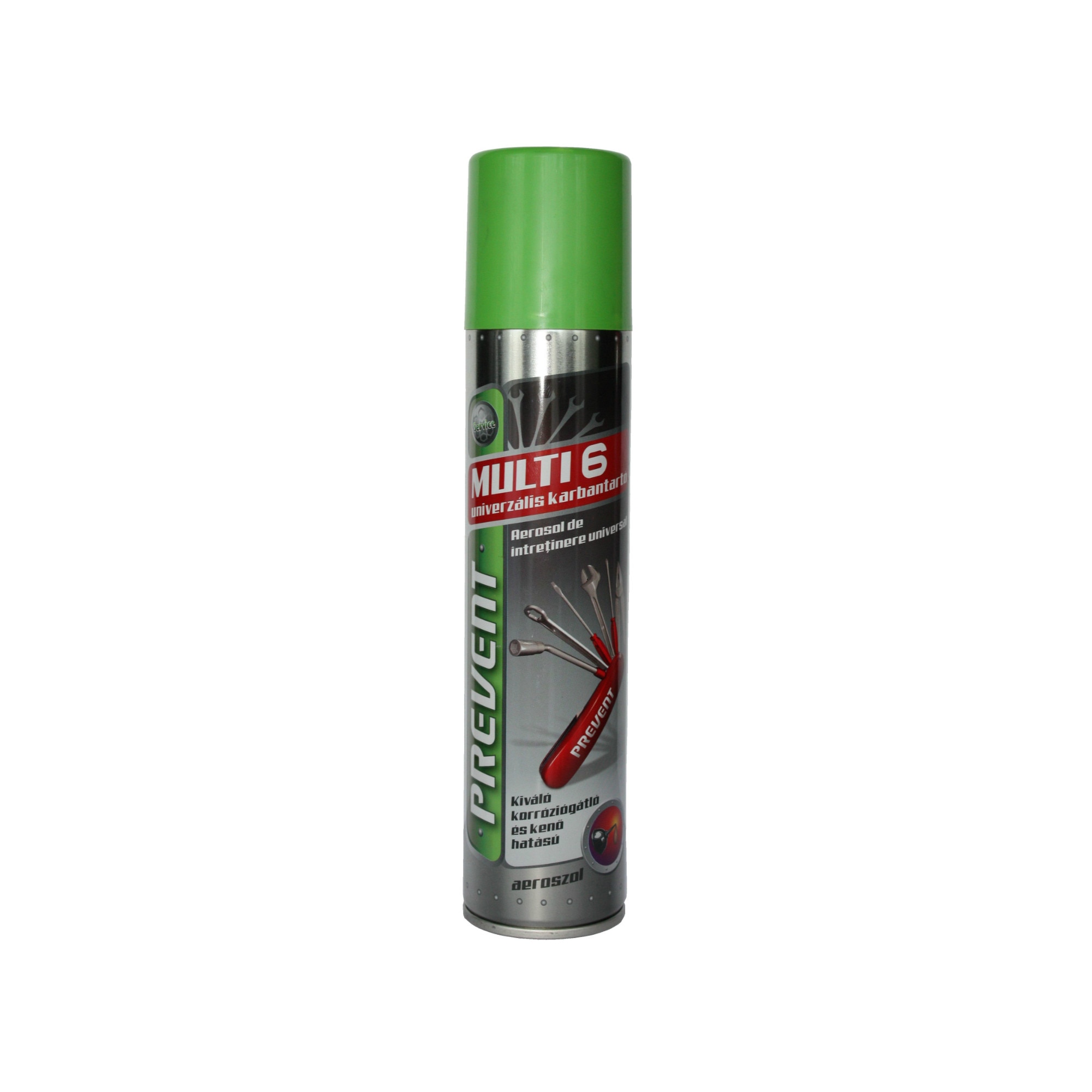 Aerosol universal de intretinere Multi6 300ml Prevent