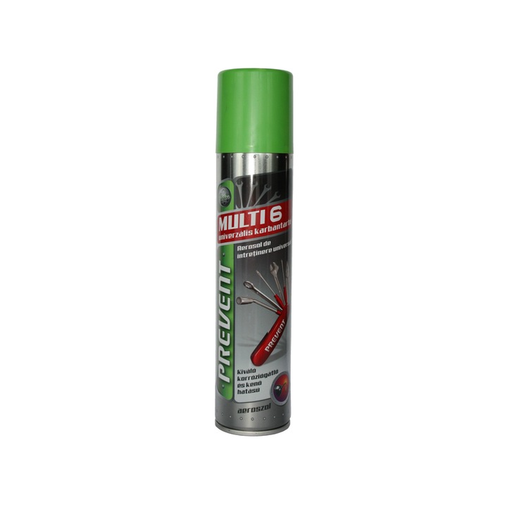 Aerosol universal de intretinere Multi6 300ml Prevent
