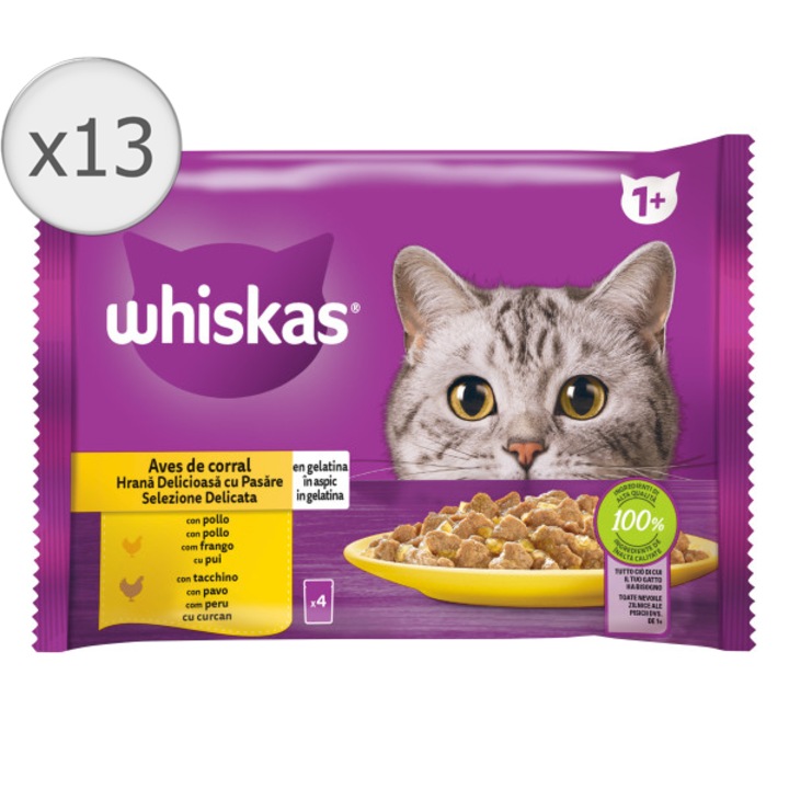 Hrana umeda pentru pisici Whiskas, cu carne de pasare in aspic, 13 x 4 x 85 g