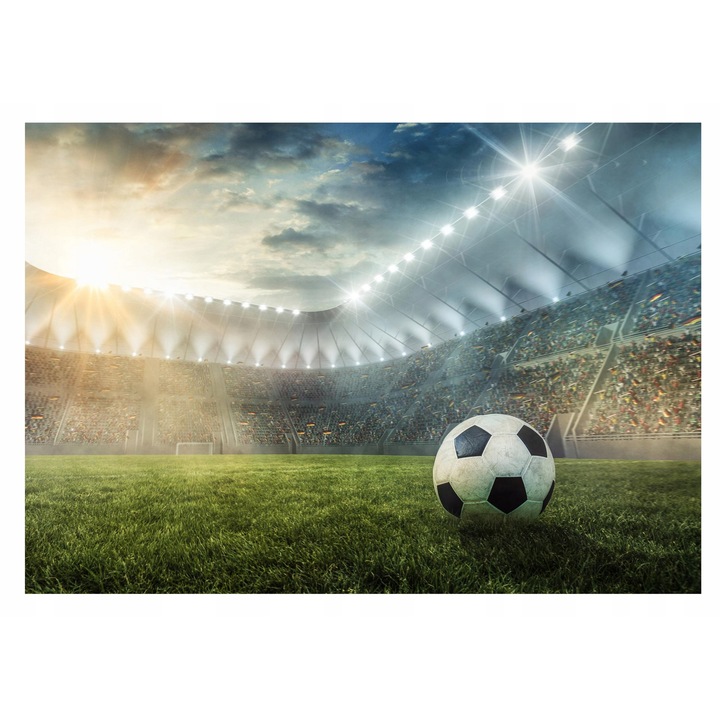 Fototapet Copii Fotbal Stadion Tineret 368x254 cm, Vlies Tapet