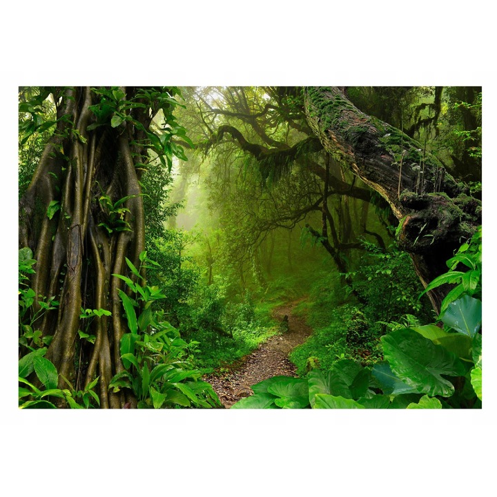 Tapéta Tropical Forest Jungle Landscape 312x219 cm, Nem szőtt Tapéta, Dekoratív, Fal, Nappali