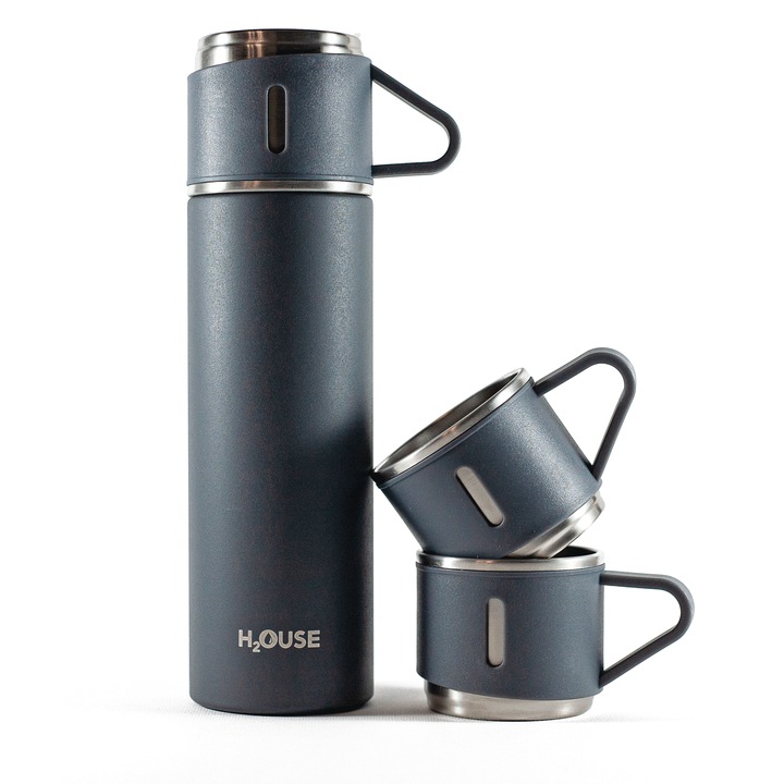 Set Termos H2OUSE Argintiu, 500ml, perete dublu, 2 cani extra
