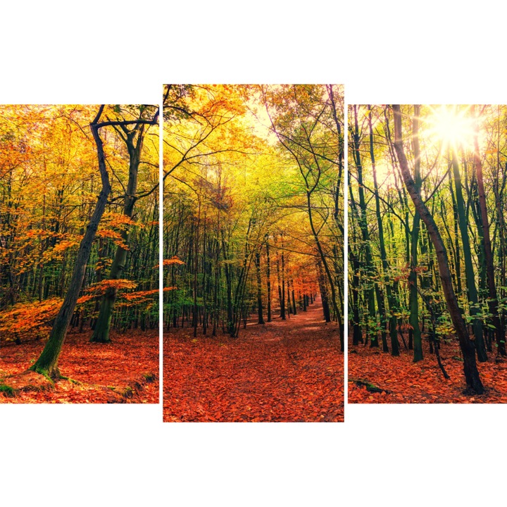 Tablou PVC 5mm, Autumn Forest, 140 X 210 cm