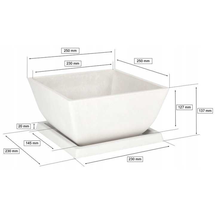 Саксии, Kotarbau, Композит, Бяло