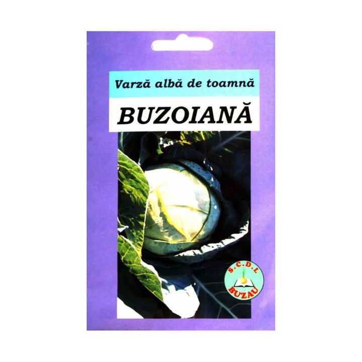 Seminte romanesti de varza Buzoiana, 10 grame, SCDL Buzau