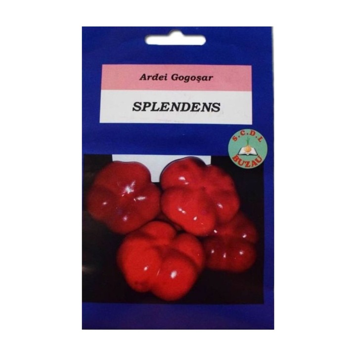 Seminte romanesti de gogosar Splendens, 5 grame, SCDL Buzau