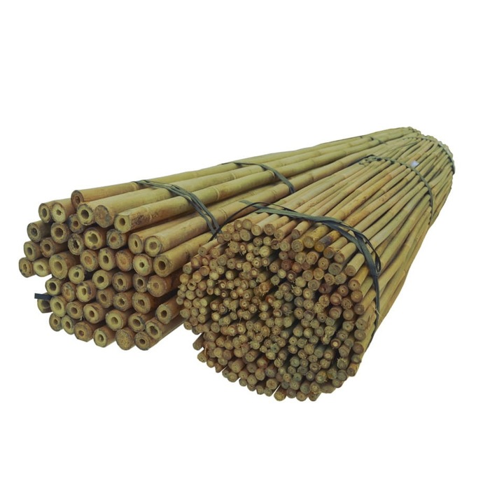 Комплект бамбукови колове Dixiestore, 180 см 14/16 мм, 25 броя