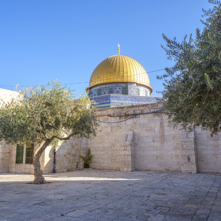 Poster perete, Zakito Posters, 60x60cm Moscheea Al-Aqsa, Assaf Frank