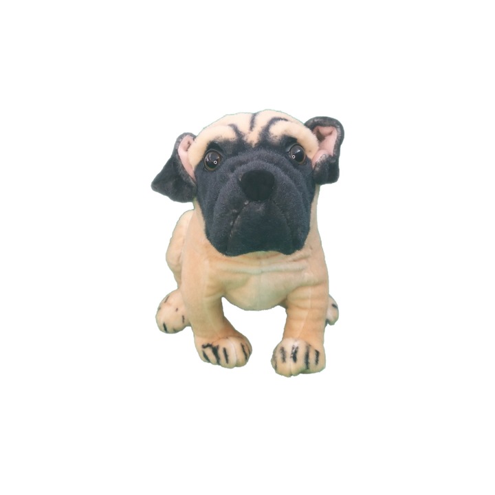 Catel de plus bej 26cm