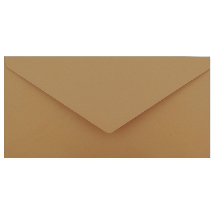 Set 10 plicuri DL, Shan, 1026893159, Hartie, 11 x 22 cm, Maro