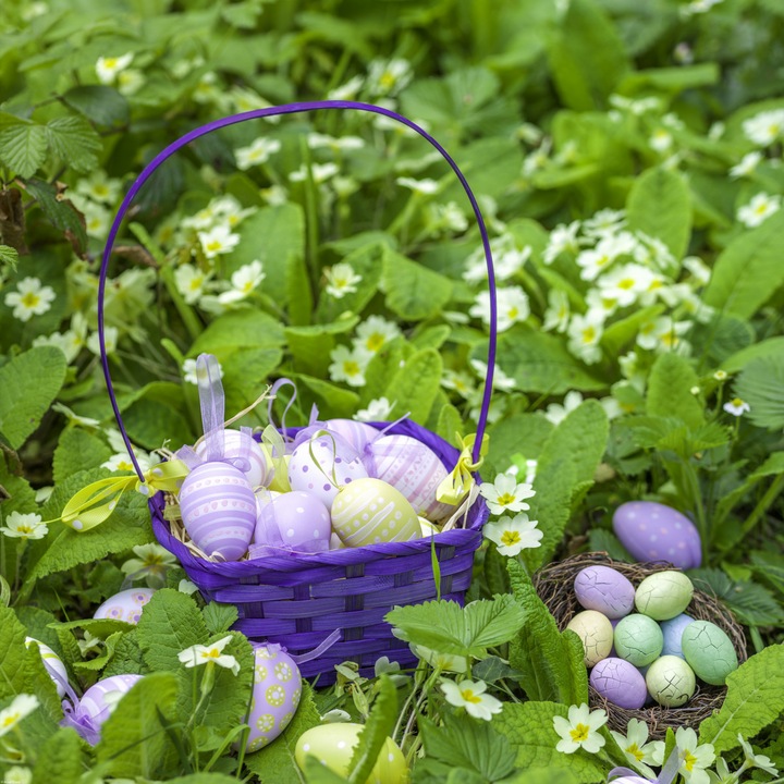 Poster perete, Zakito Posters, 70x70cm Oua de Paste intr-un cos, Assaf Frank