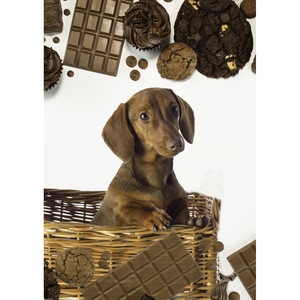 Tapet