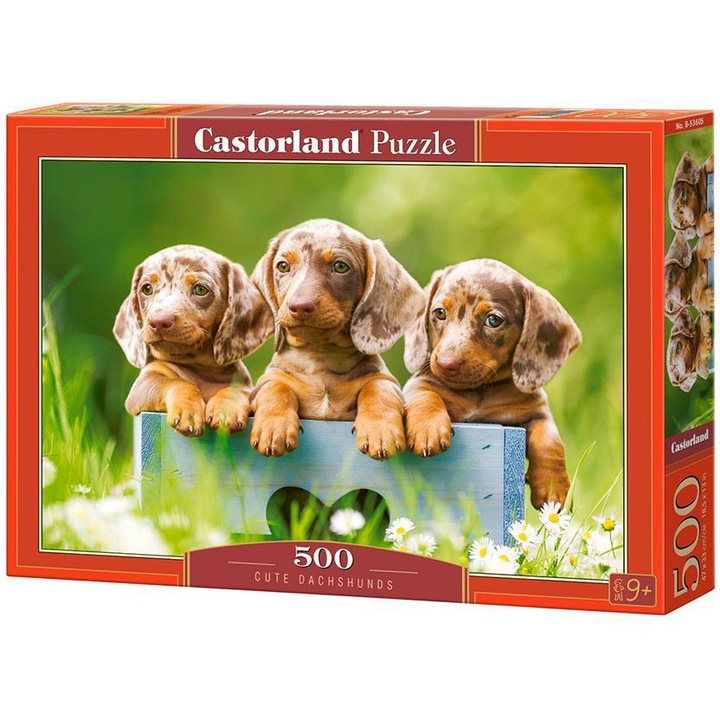 Castorland puzzle, aranyos tacskók, 500 darab