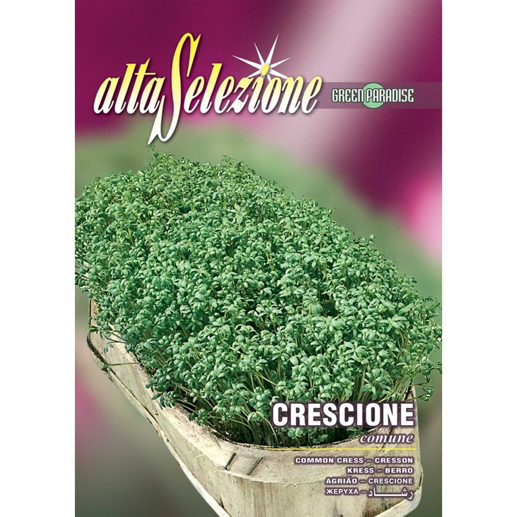 Seminte Alta Selezione, Creson comun plic 4 grame