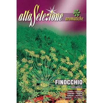 Seminte Alta Selezione, Chimen dulce plic 2 grame Seminte Alta Selezione, Chimen dulce plic 2 grame