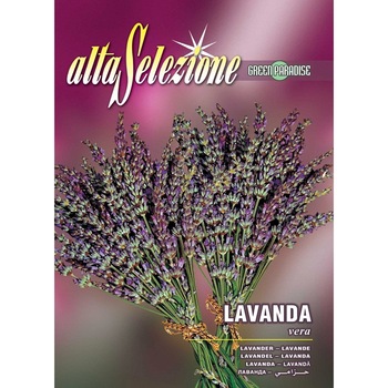 Seminte Alta Selezione, Levantica plic 0,75 grame Seminte Alta Selezione, Levantica plic 0,75 grame