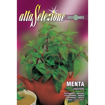 Seminte Alta Selezione, Menta plic 0,4 grame Seminte Alta Selezione, Menta plic 0,4 grame