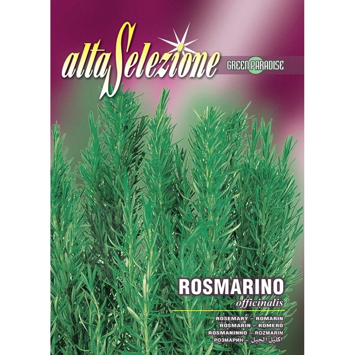 Seminte Alta Selezione, Rozmarin plic 0,1 grame