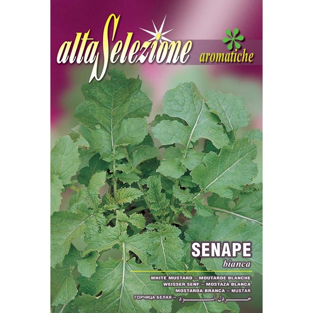 Seminte Alta Selezione, Mustar alb plic 2 grame