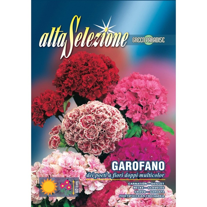 Seminte Alta Selezione flori - Garoafa poetilor Flori duble Multicolor plic 1,5 grame