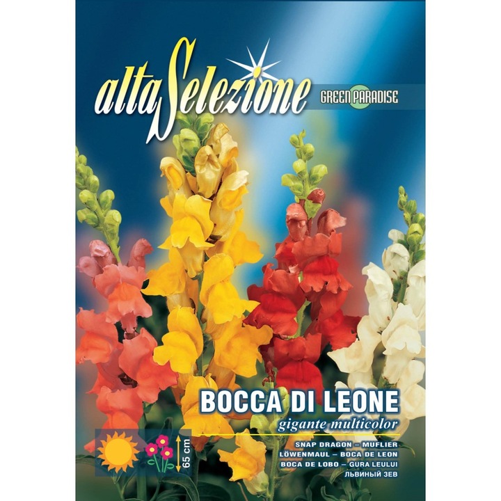 Seminte Alta Selezione flori - Gura leului Gigant Multicolor plic 1,3 grame