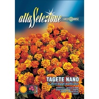 seminte alta selezione flori - craite pitice flori duble multicolor plic 16 grame imagen 11_0_
0