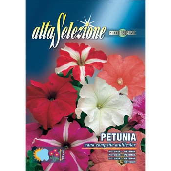 Seminte Alta Selezione flori - Petunia pitica compacta multicolor plic 0,4 grame Seminte Alta Selezione flori - Petunia pitica compacta multicolor plic 0,4 grame