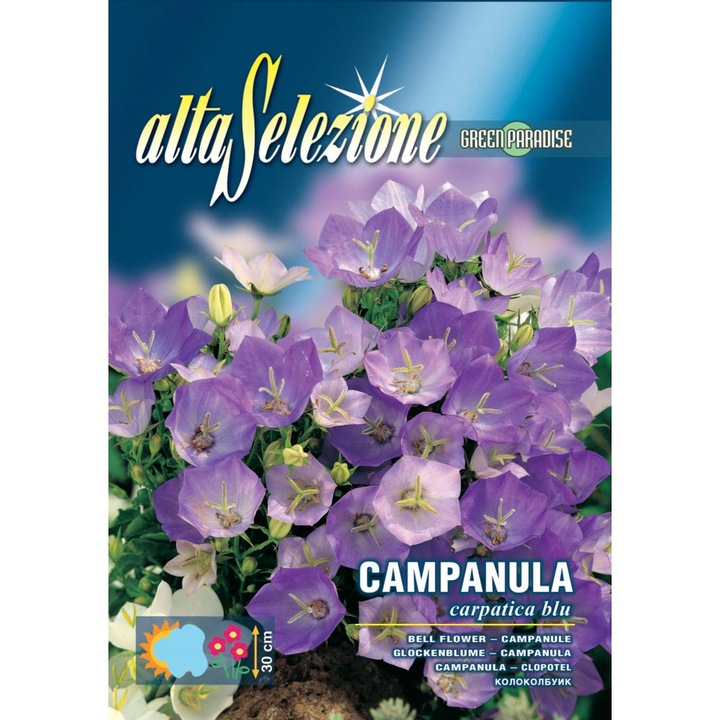 Seminte Alta Selezione flori - Clopotel cu flori mari multicolor plic 0,8 grame