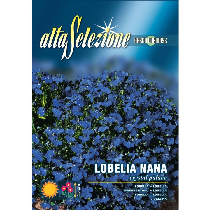 Seminte Alta Selezione flori - Lobelia pitica Palatul de clestar plic 0,2 grame