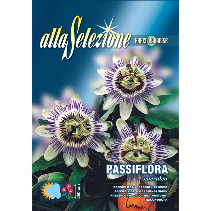 Seminte Alta Selezione flori - Floarea pasiunii plic 0,8 grame