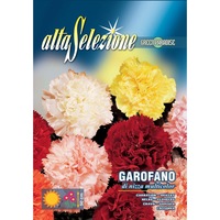 seminte alta selezione flori - garoafa de nisa multicolor plic 15 grame imagen 13_0_
0